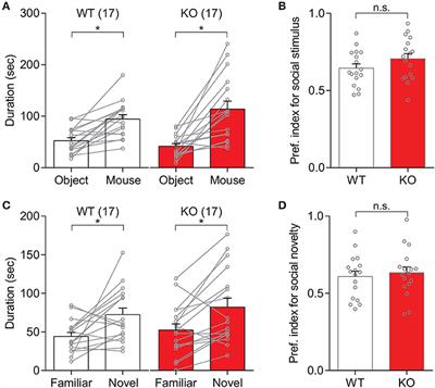 Sex-Dependent Motor Deficit and Increased Anxiety-Like States in Mice Lacking Autism-Associated Gene Slit3